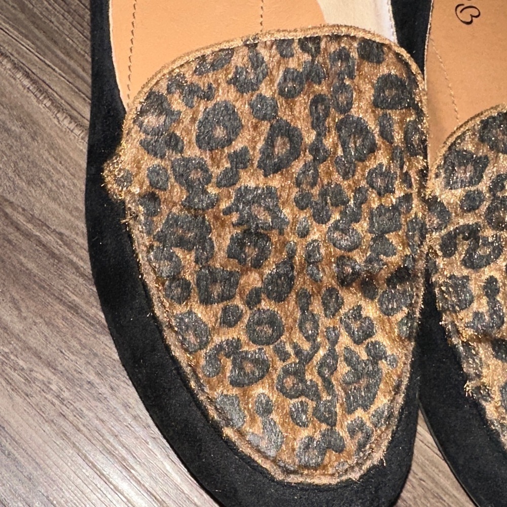BareTraps Women's Leopard Flats - Black and Brown - Picture 3 of 8